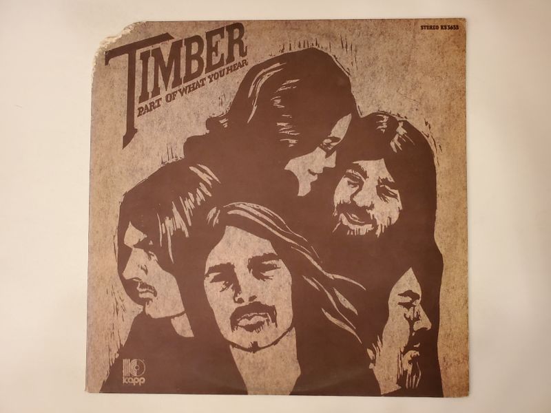 Timber Part of What You Hear vinyl record